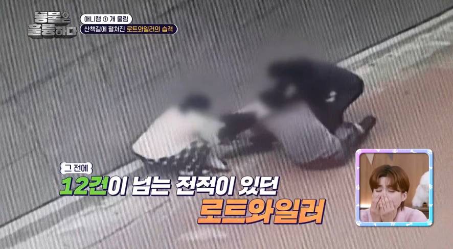 진짜 희귀한 방송에서 찐으로 행복한 표정 짓는 서장훈…jpg | 인스티즈