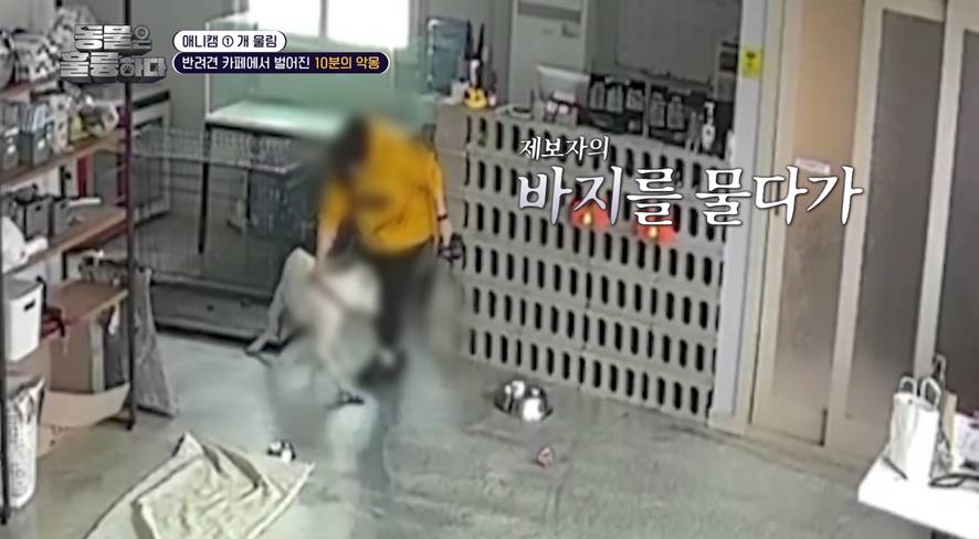 진짜 희귀한 방송에서 찐으로 행복한 표정 짓는 서장훈…jpg | 인스티즈