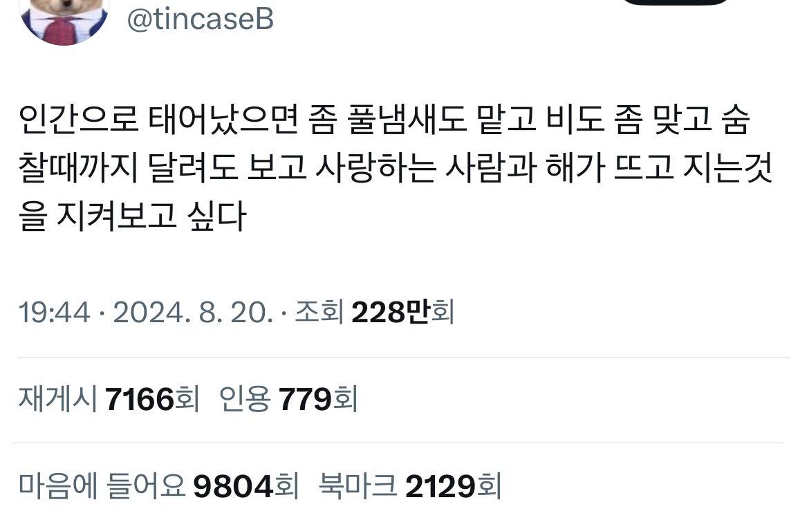 인간으로 태어났으면 좀 풀냄새도 맡고 비도 좀 맞고.twt | 인스티즈