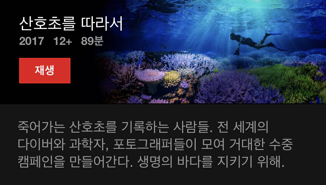 넷플릭스를 더 알차게 쓰고 싶으면 다큐를 보면 됨. 당연함. 다큐 맛집임 | 인스티즈