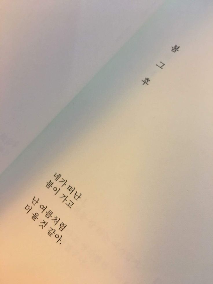 카메라가 깨졌더니•• 온통 풍경이 이런데 어떻게 생각하세요•• | 인스티즈