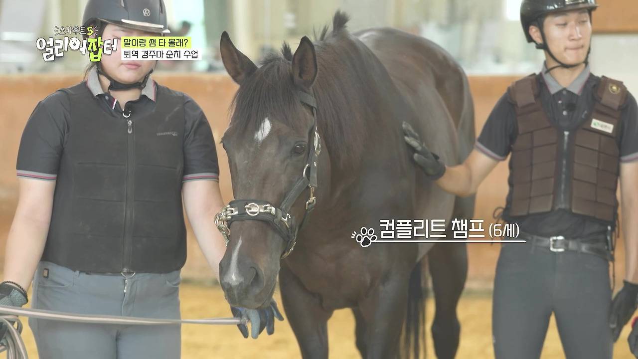 반려동물 키우는 사람들한테 도파민 터지게 만들었다는 한 고등학교 | 인스티즈