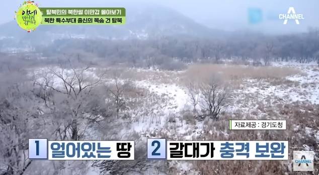 19살 특수부대 출신 북한 군인이 DMZ 넘어온 이유 | 인스티즈