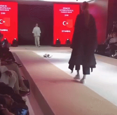 패션쇼에 무단침입한 고양이.gif | 인스티즈