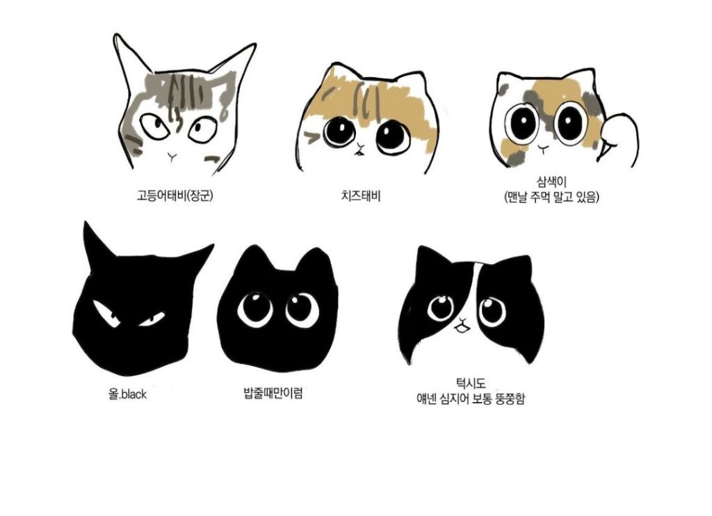 동네 고양이들 다 이렇게 생김 | 인스티즈