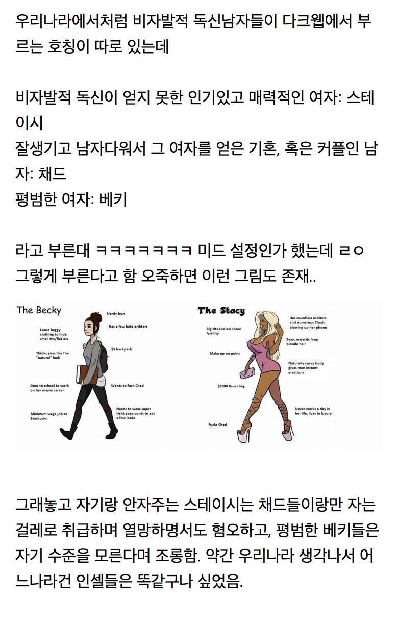 미드보는중인데 미국 인셀남들도 병X력 장난없다... | 인스티즈