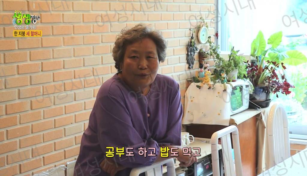 비혼여성의 로망 그자체인 생생정보통 세 할머니 | 인스티즈