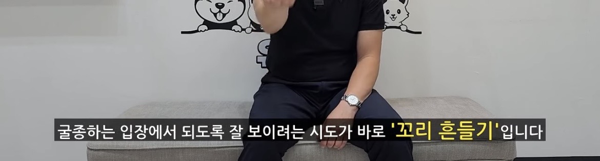 강아지가 학대하는 주인에게 꼬리를 흔드는 이유 | 인스티즈