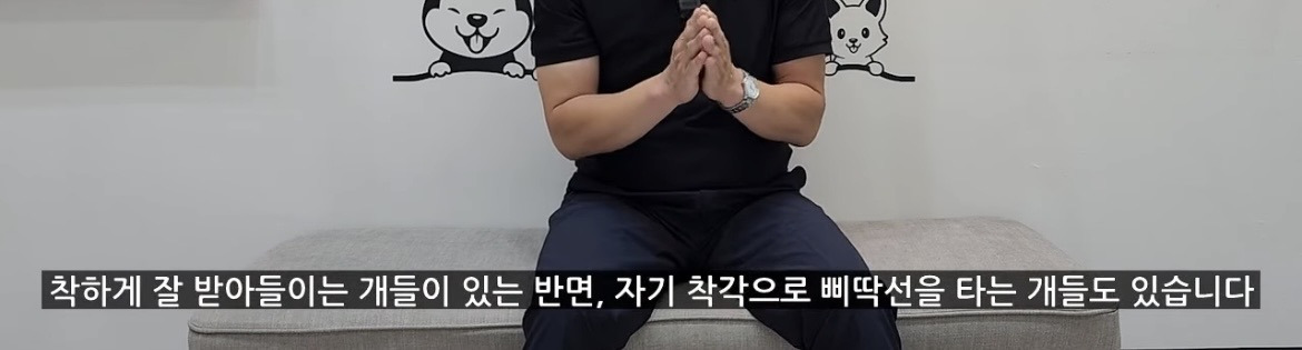 강아지가 학대하는 주인에게 꼬리를 흔드는 이유 | 인스티즈