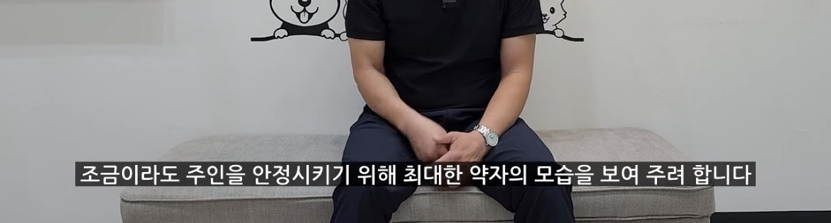 강아지가 학대하는 주인에게 꼬리를 흔드는 이유 | 인스티즈