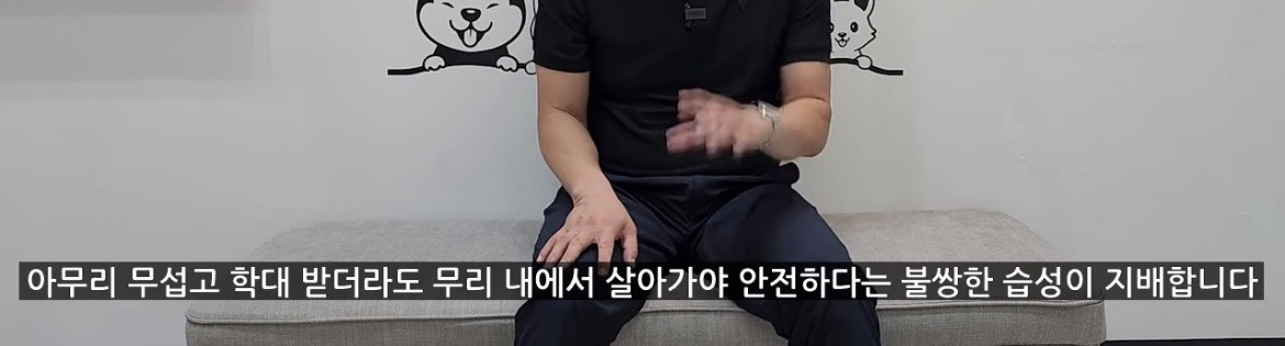 강아지가 학대하는 주인에게 꼬리를 흔드는 이유 | 인스티즈