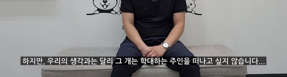 강아지가 학대하는 주인에게 꼬리를 흔드는 이유 | 인스티즈