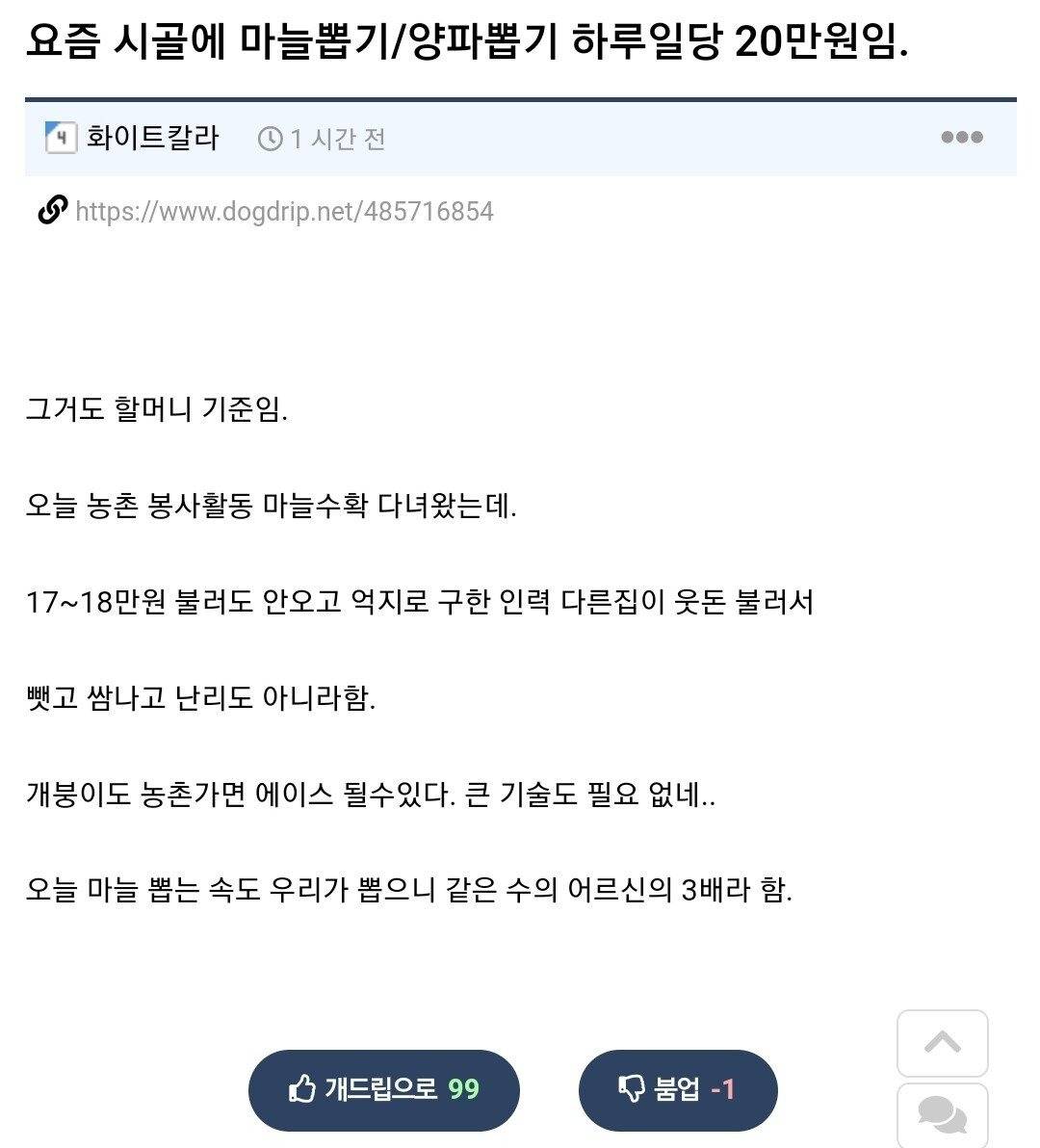 시골에 마늘뽑기 양파뽑기 하루일당 | 인스티즈