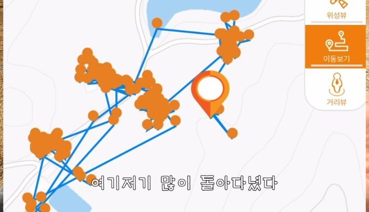 도도와 야통이도 더이상 못볼뻔했다(하하하 hahaha) | 인스티즈