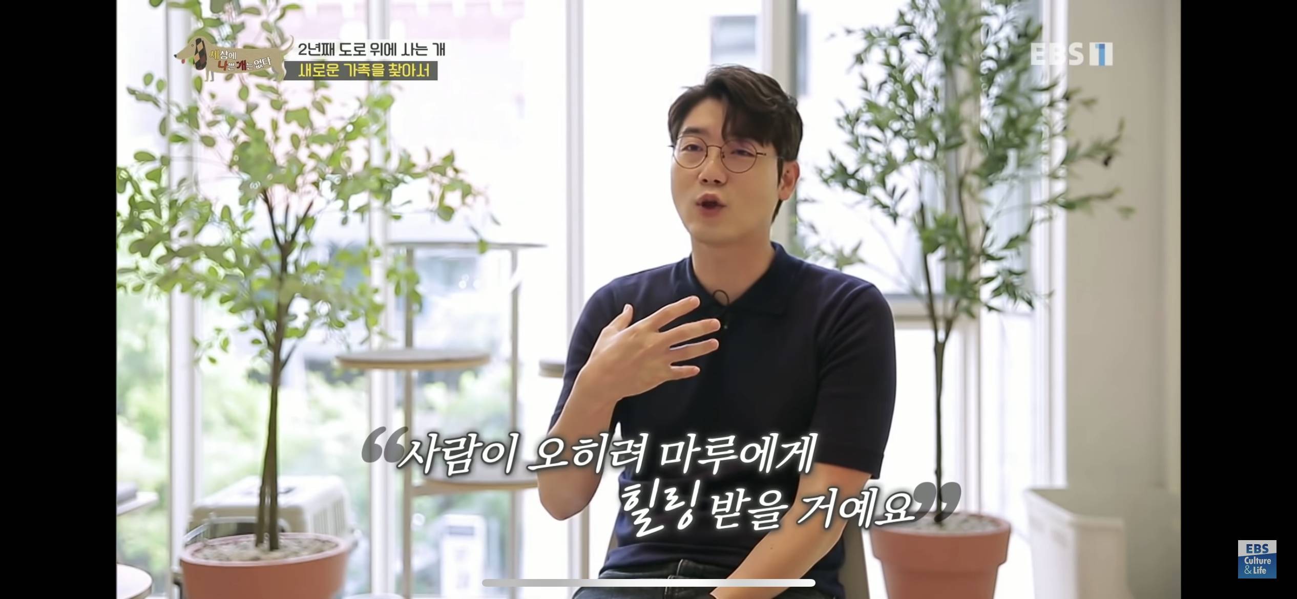 2년동안 도로 위에서 위험하게 생활했던 유기견 마루 | 인스티즈