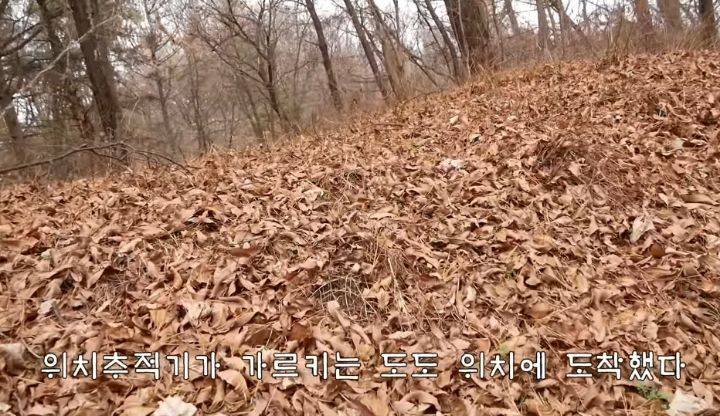 도도와 야통이도 더이상 못볼뻔했다(하하하 hahaha) | 인스티즈