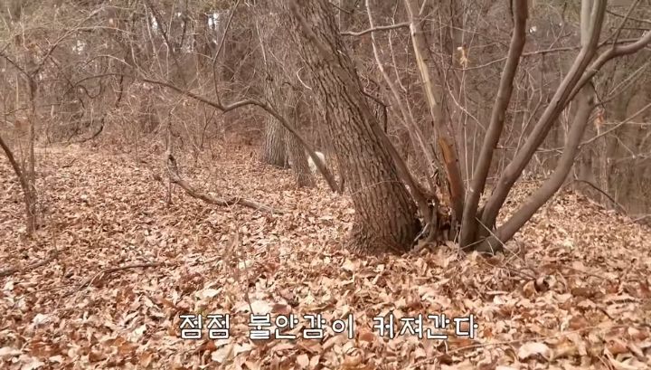 도도와 야통이도 더이상 못볼뻔했다(하하하 hahaha) | 인스티즈