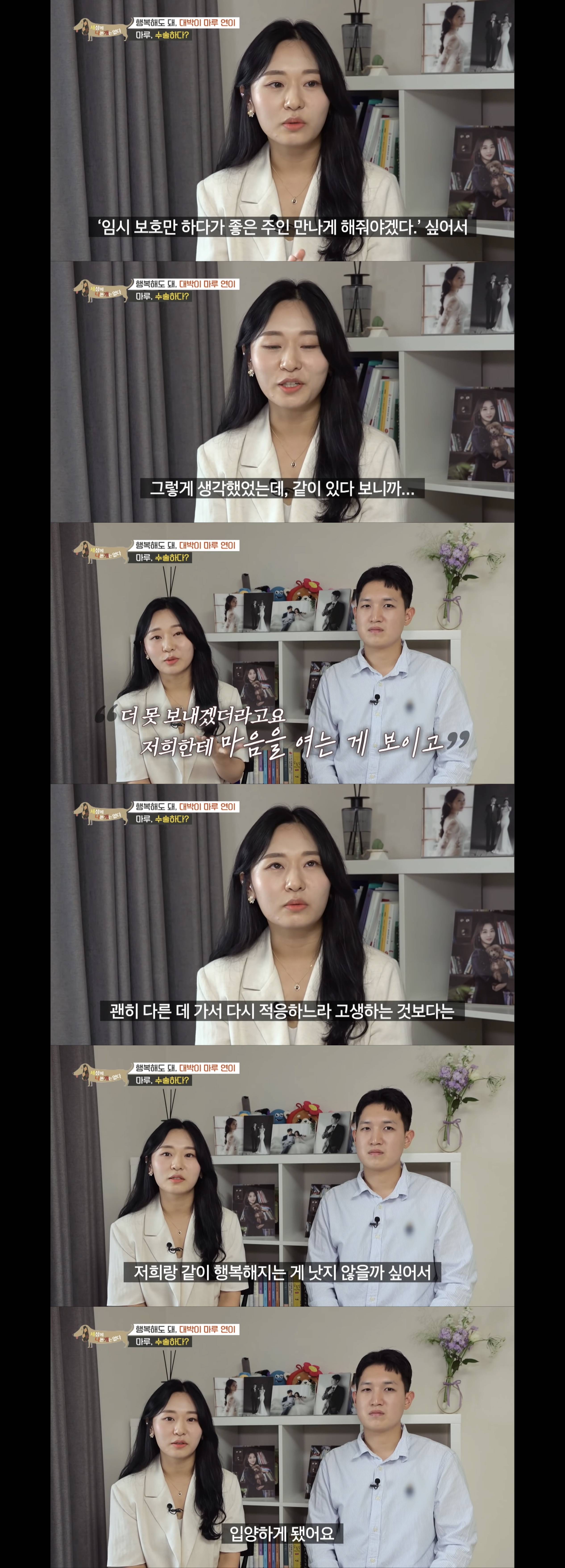 2년동안 도로 위에서 위험하게 생활했던 유기견 마루 | 인스티즈