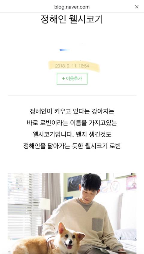 정해인 웰시코기 (코트 핏) 짤방 다 사라진거 알고 여시해? (+웰시코기 뒷태 움짤) | 인스티즈