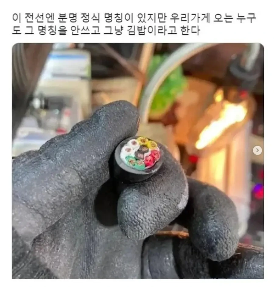 아무도 정식 명칭으로 부르지 않는 전선 | 인스티즈