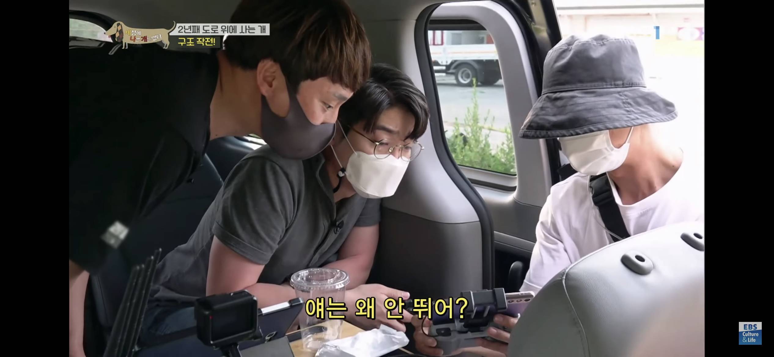2년동안 도로 위에서 위험하게 생활했던 유기견 마루 | 인스티즈