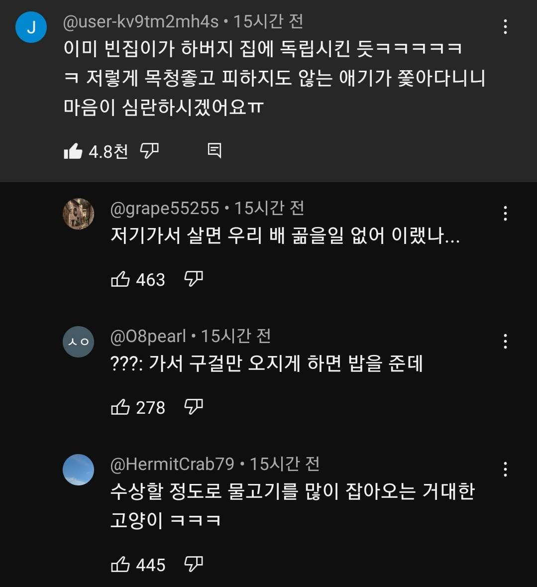 (hahaha) 영상 10분 내내 우는 아기 고양이.gif | 인스티즈