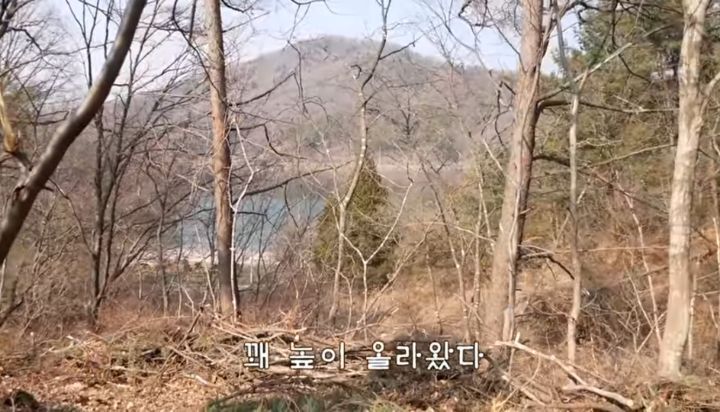 도도와 야통이도 더이상 못볼뻔했다(하하하 hahaha) | 인스티즈