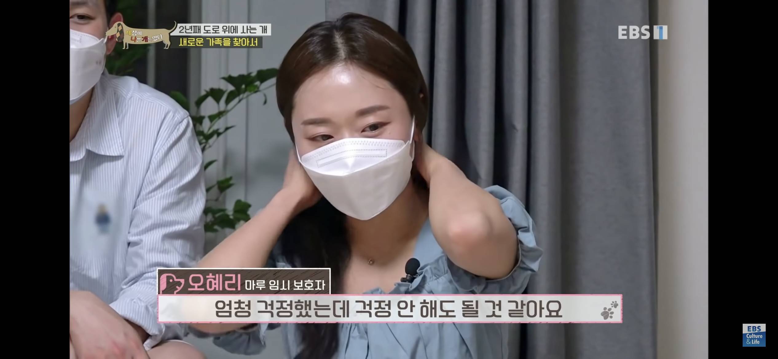 2년동안 도로 위에서 위험하게 생활했던 유기견 마루 | 인스티즈