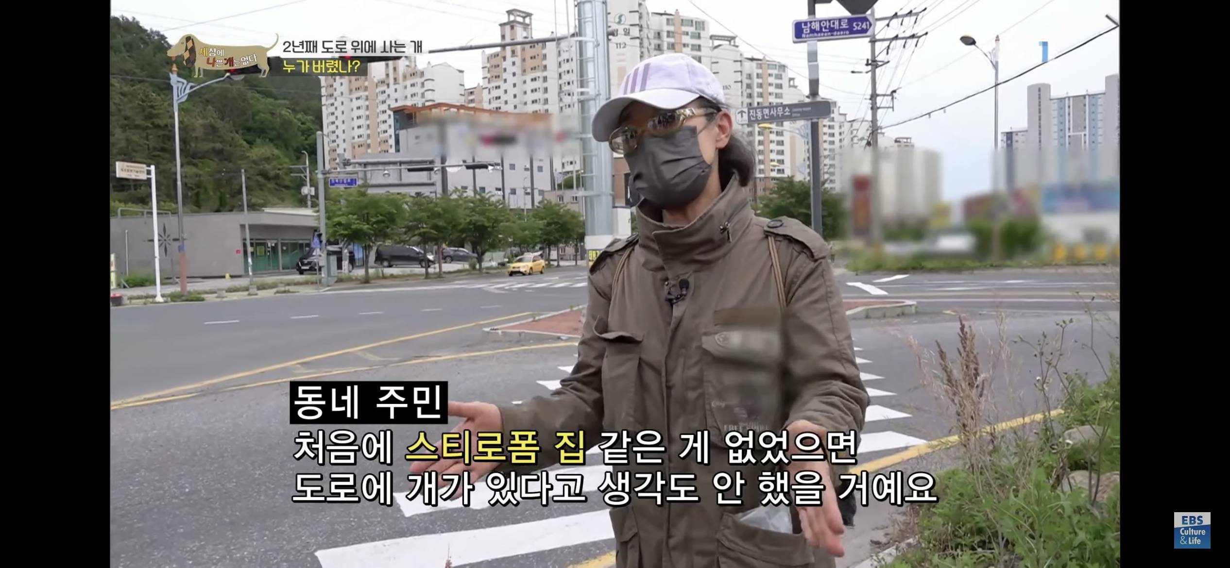 2년동안 도로 위에서 위험하게 생활했던 유기견 마루 | 인스티즈
