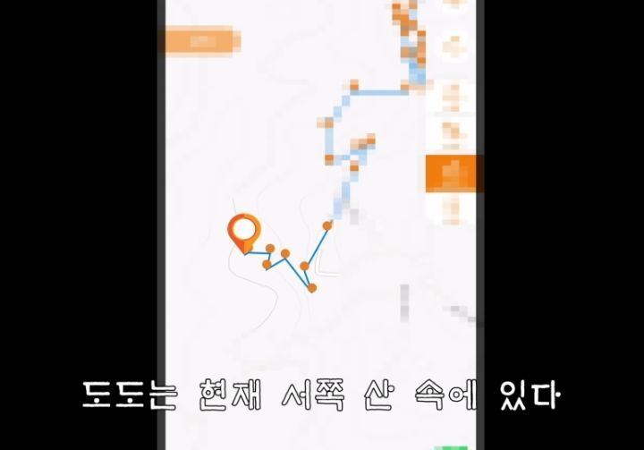 도도와 야통이도 더이상 못볼뻔했다(하하하 hahaha) | 인스티즈