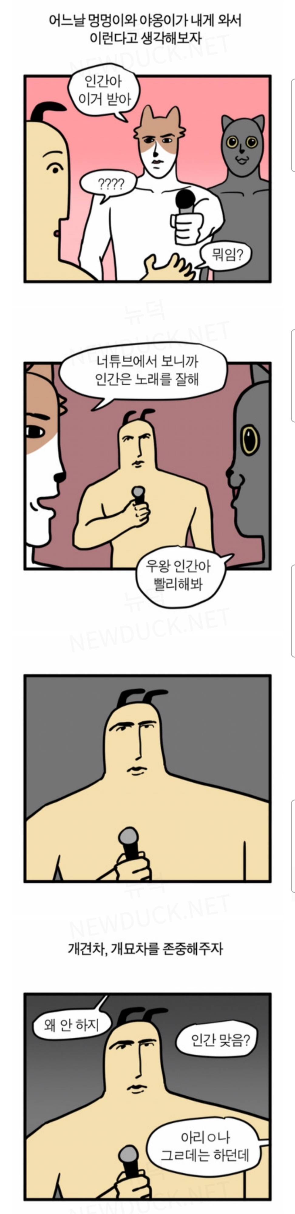 강아지 고양이에게 스테레오 타입을 기대하면 안되는 이유 | 인스티즈