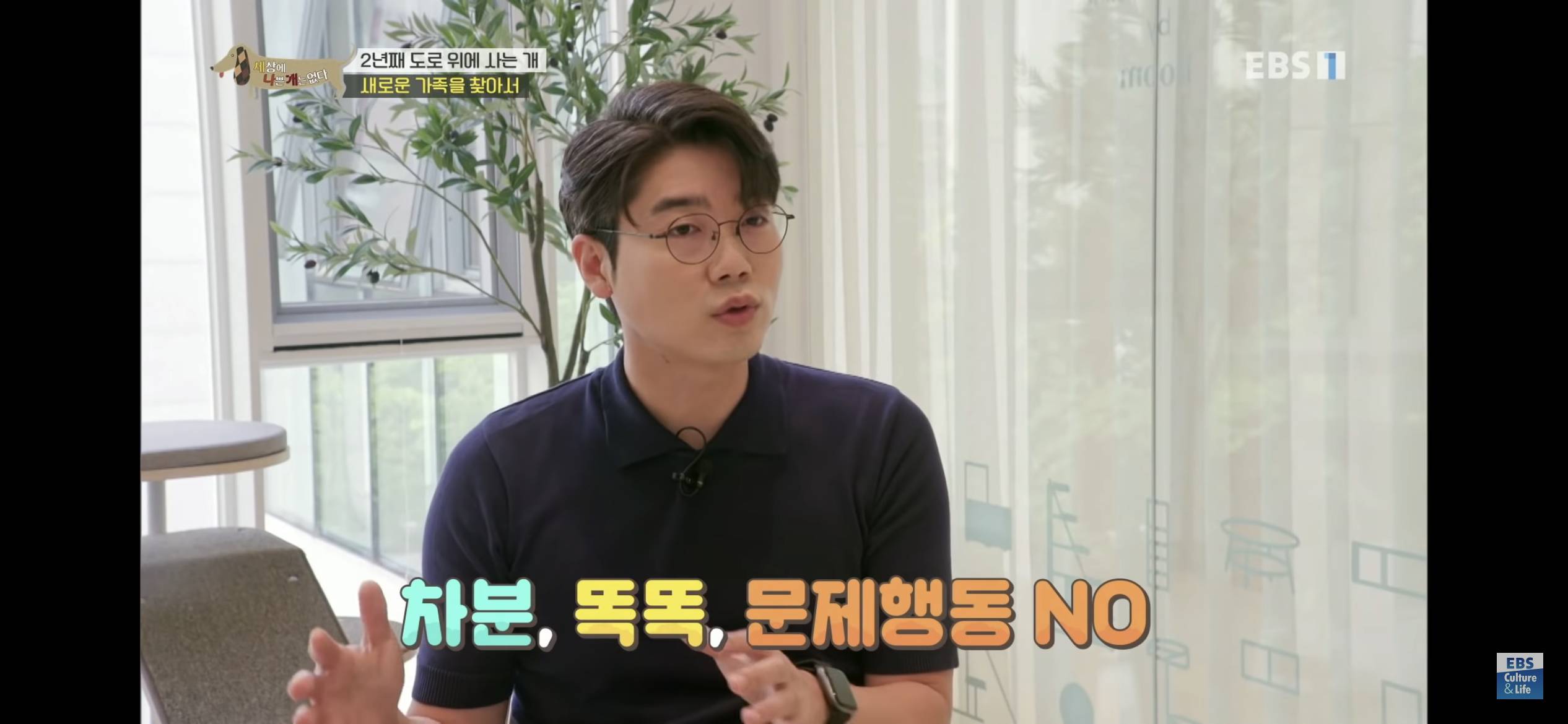 2년동안 도로 위에서 위험하게 생활했던 유기견 마루 | 인스티즈