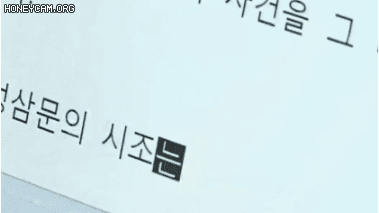 한중일 타자 속도 .gif | 인스티즈