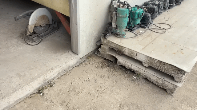 (hahaha) 영상 10분 내내 우는 아기 고양이.gif | 인스티즈