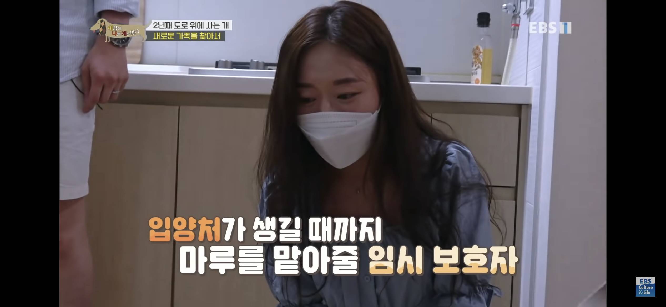 2년동안 도로 위에서 위험하게 생활했던 유기견 마루 | 인스티즈
