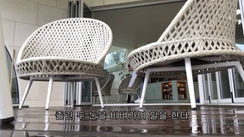 제주도에서 고양이와 함께사는 힐링 유튜버 윤이버셜 | 인스티즈