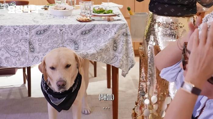 [요정식당] 해듬이도 당황한 박나래 100% 사복 착장 | 인스티즈
