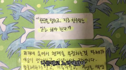제주도에서 고양이와 함께사는 힐링 유튜버 윤이버셜 | 인스티즈