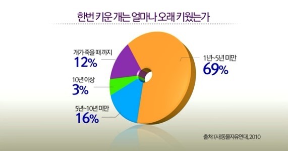 7년간 14번 출산...말티즈의 비참한 최후 | 인스티즈