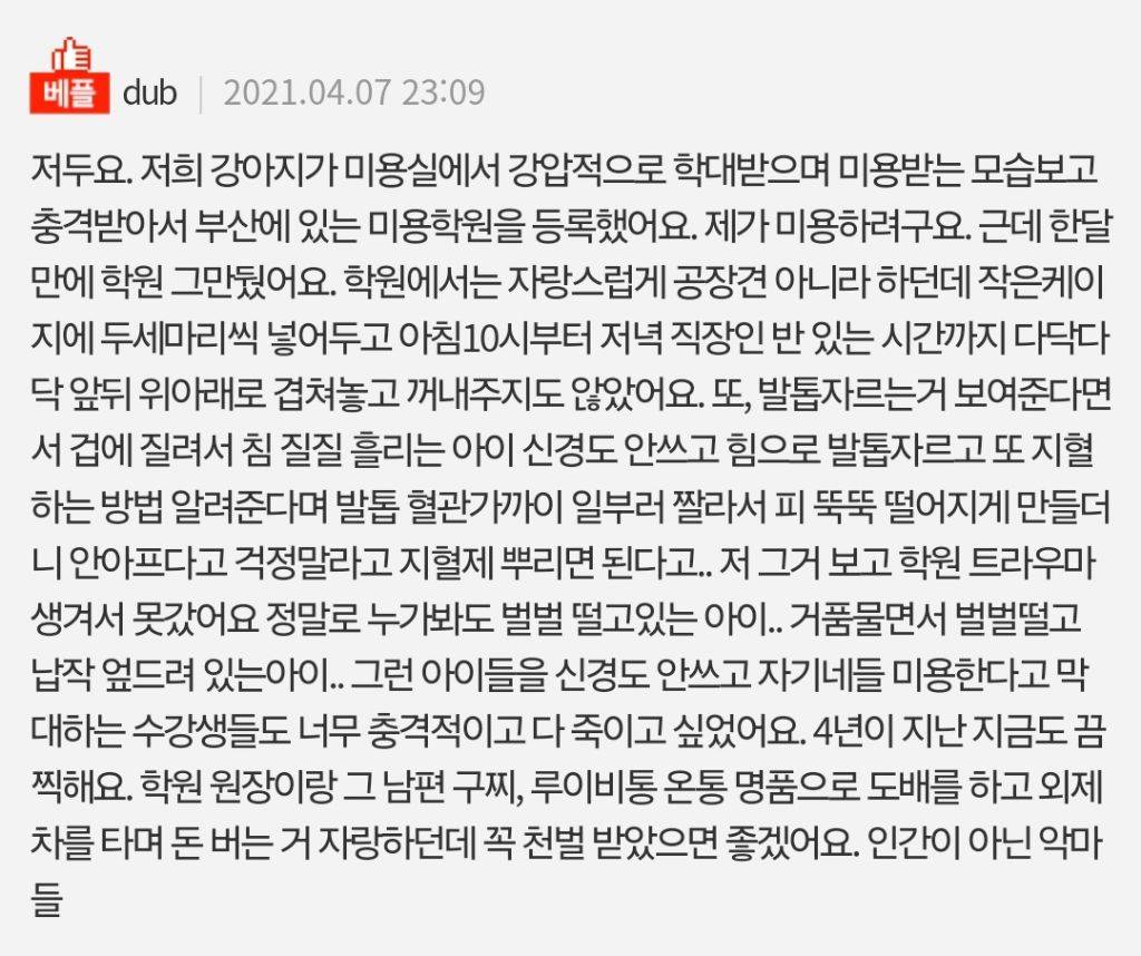 개농장 번식견들이 비임신기간에 하는 일 | 인스티즈