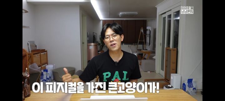 고양이가 사람한테 캣휠을 돌려달라고 하는 이유 | 인스티즈