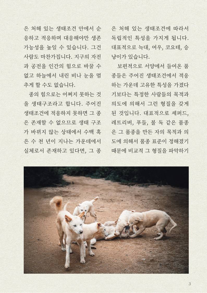 나만 몰랐던 '진돗개' 이야기ㅠㅠ | 인스티즈