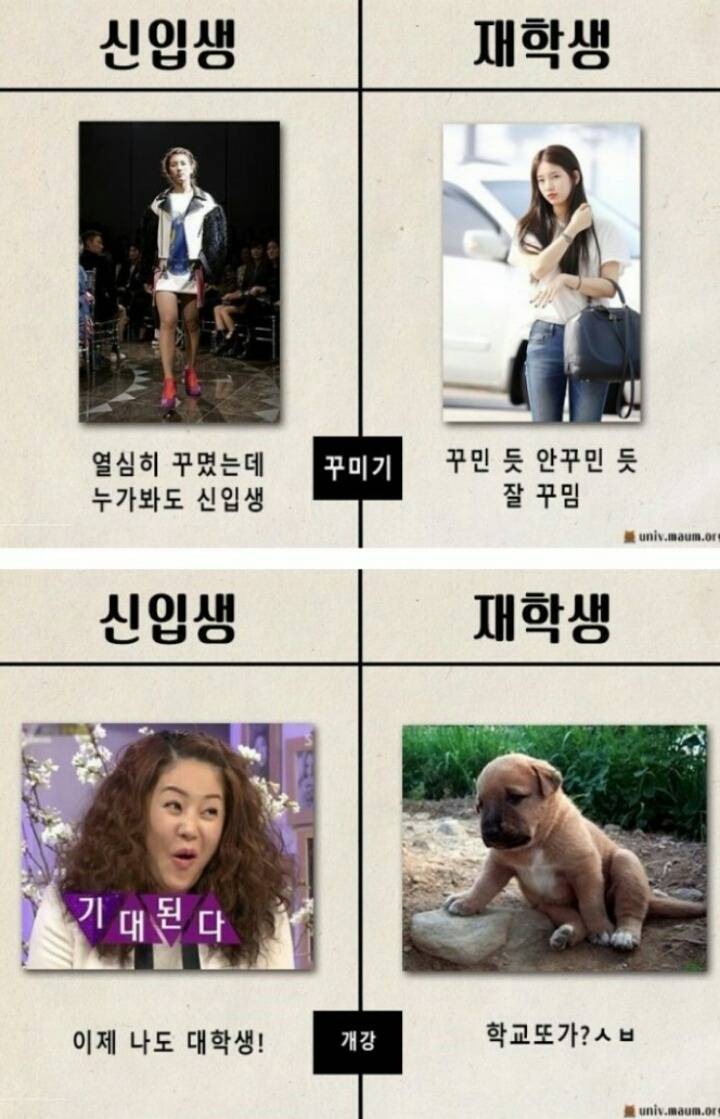 대학 신입생과 재학생의 차이 | 인스티즈