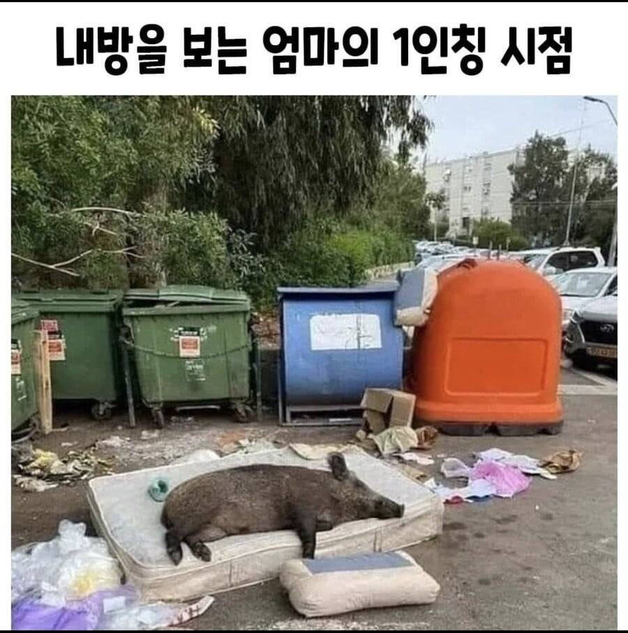 내방 돼지우리인데 엄마온대 어떡해? | 인스티즈