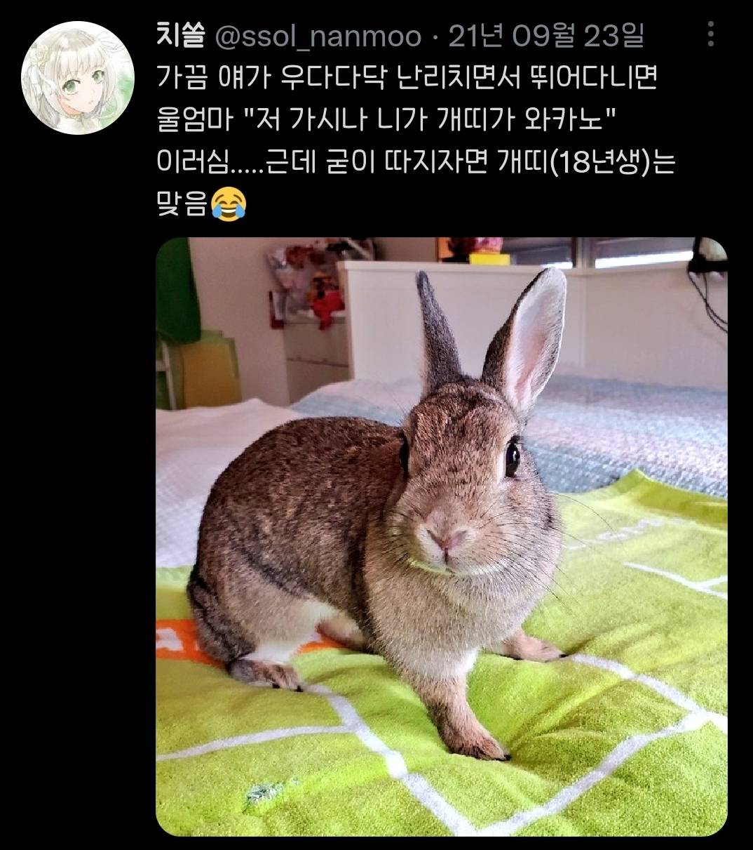 가족들 강아지한테 막 아무말이나 하는거 너무웃김.twt | 인스티즈