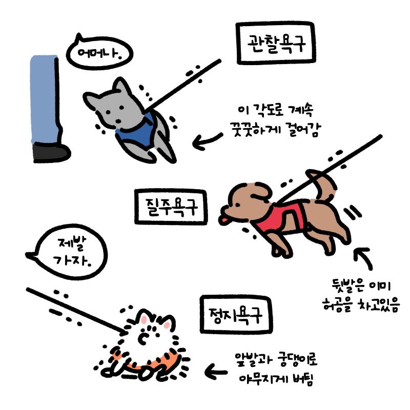 산책하면 볼 수 있는 기울어진 댕댕이 | 인스티즈