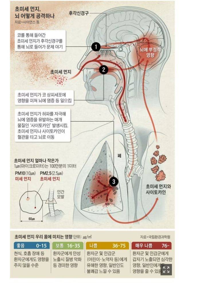 조용히 혈관으로 타고 들어가는 미세먼지.jpg | 인스티즈