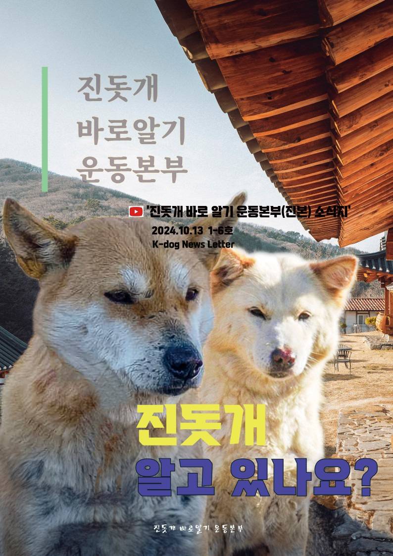 나만 몰랐던 '진돗개' 이야기ㅠㅠ | 인스티즈