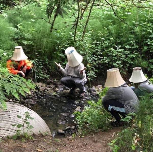 올해부터 내년까지 남돌 컨셉 궁예해봄 | 인스티즈