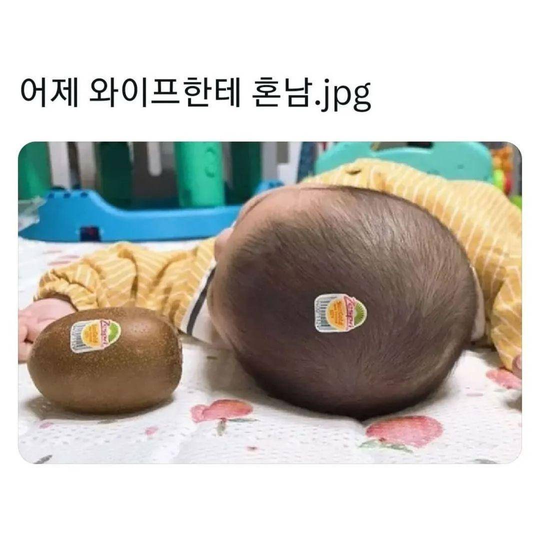 어제 와이프한테 혼남 | 인스티즈